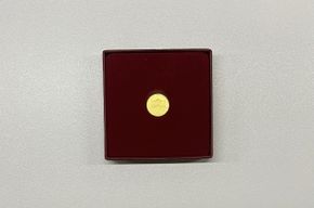 1-25 Unze Gold Wiener Philharmoniker 2017 - Tagespreis + 30,-