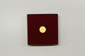 1-25 Unze Gold Wiener Philharmoniker 2020 - Tagespreis + 25,- (i. K.)