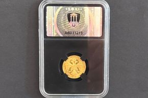 Jugoslawien - Dukat 1931 (Birds) MS 64 Prooflike